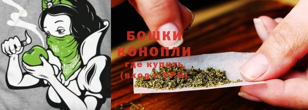 сатива Верхнеуральск