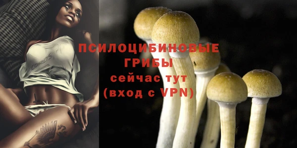 соль ск Верхний Тагил