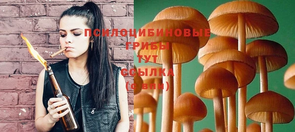 сатива Верхнеуральск