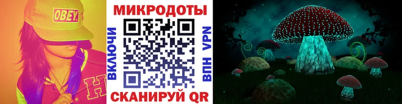 Галлюциногенные грибы ЛСД  Чишмы 